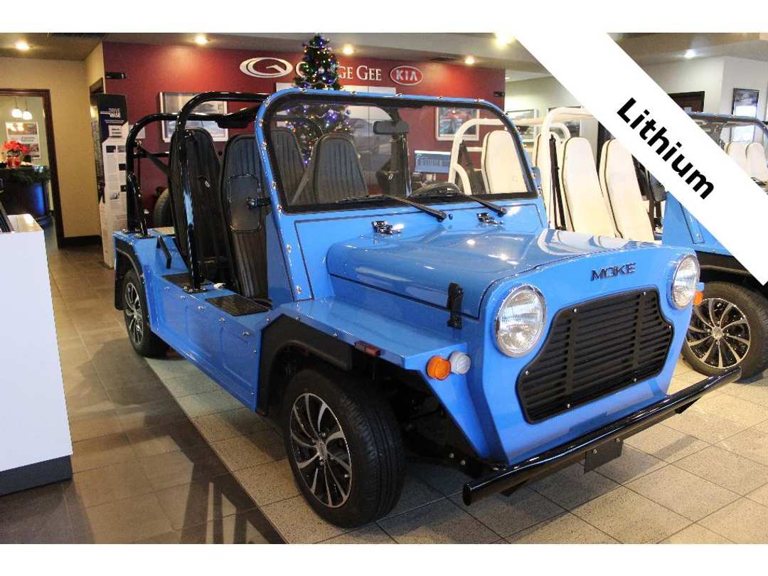 2022 Moke Emoke - Image 1